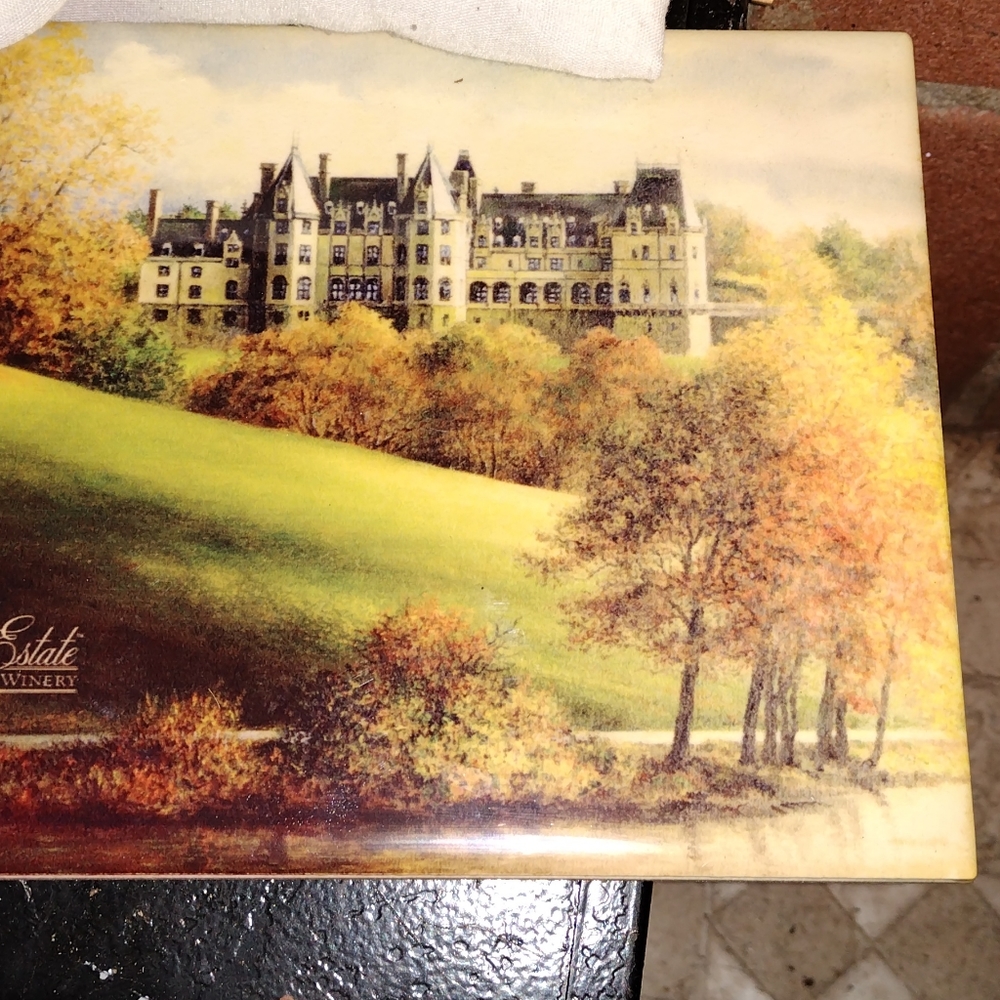 Biltmore house tile hanging decor
